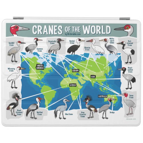 Cranes of the World iPad Smart Cover
