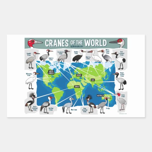 Cranes of the World Rectangular Sticker