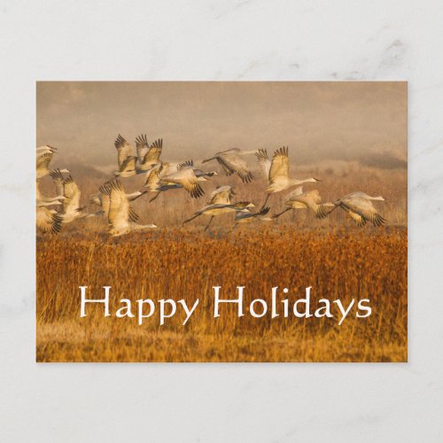 Cranes over golden field Happy Holidays Holiday Postcard