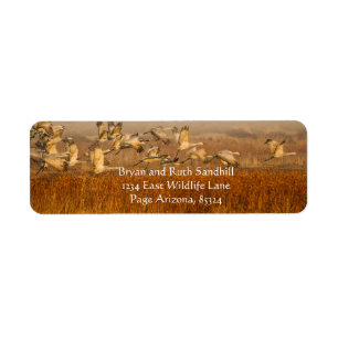 Cranes over golden field label