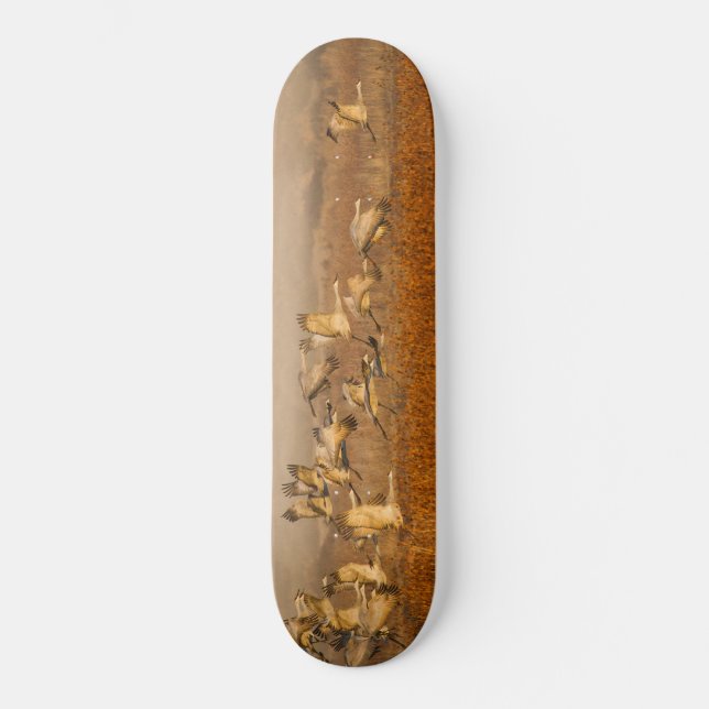 Cranes over golden field  skateboard (Front)