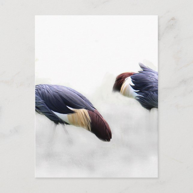 cranes pair couple custom personalize project home postcard (Front)
