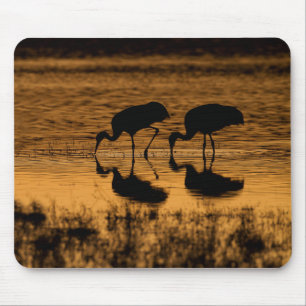 Cranes Silhouetted by the Sunset Mouse Pad