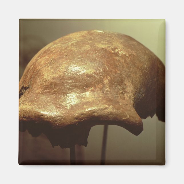 Cranium of a Neanderthal Magnet (Front)