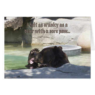 Cranky as a bear with a sore paw
