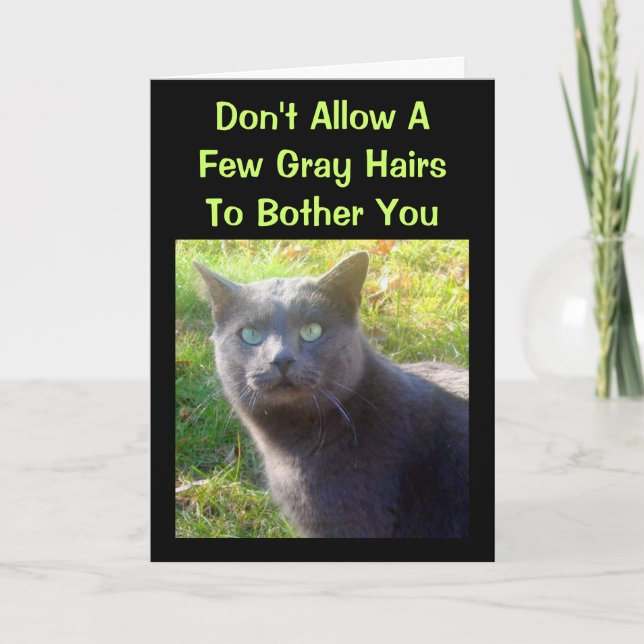 Cranky Cat Humorous Birthday Card (Front)
