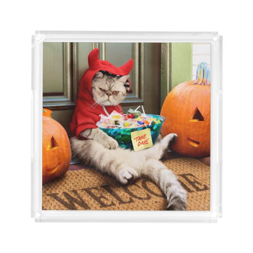 Cranky Devil Cat Acrylic Tray