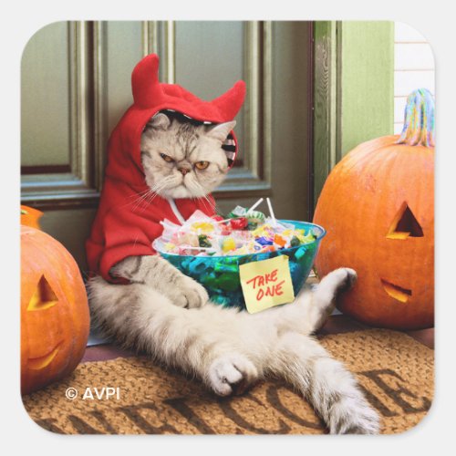 Cranky Devil Cat Square Sticker