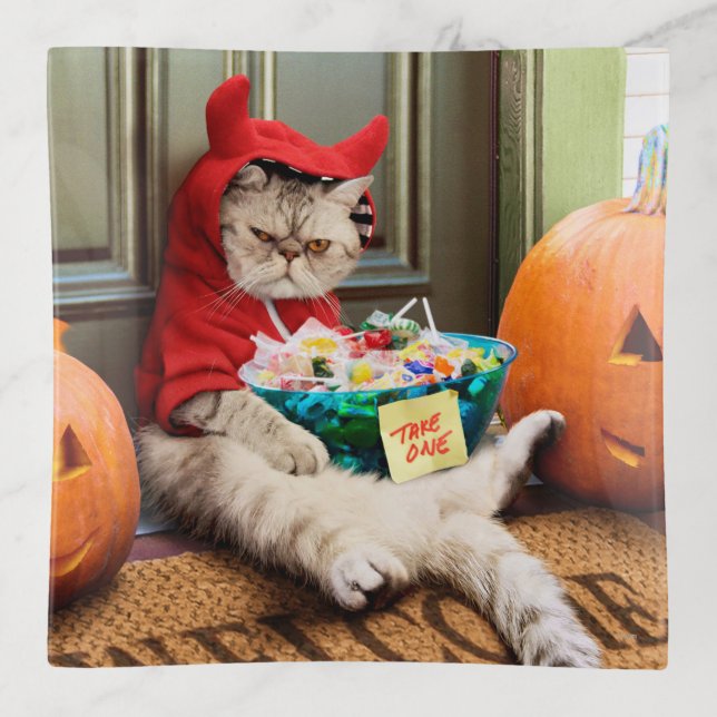 Cranky Devil Cat Trinket Tray (Front)