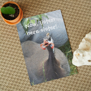 Cranky Guinea Fowl Funny Birthday Card