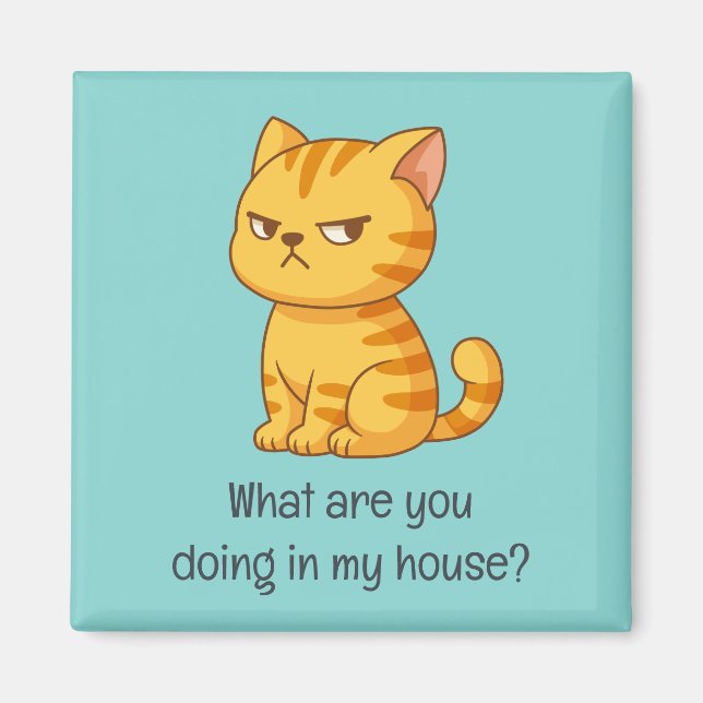 Cranky Orange Tabby Cat Funny Text Green Magnet (Front)