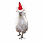 Cranky Silkie Bantam Chicken Santa Hat Christmas Cutout<br><div class="desc">Know someone who gets cranky at Christmas time?  Then this cranky Silkie Chicken is for them!</div>
