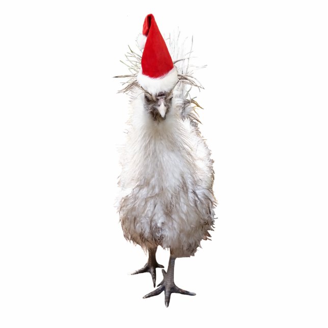 Cranky Silkie Bantam Chicken Santa Hat Christmas Cutout (Front)
