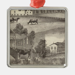 Cranmoor Farm, Toms River, NJ Metal Ornament
