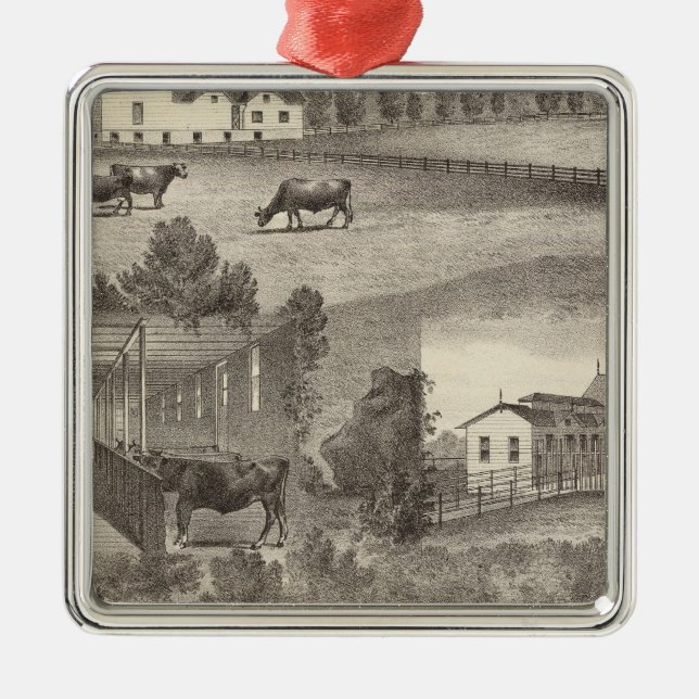 Cranmoor Farm, Toms River, NJ Metal Ornament (Front)