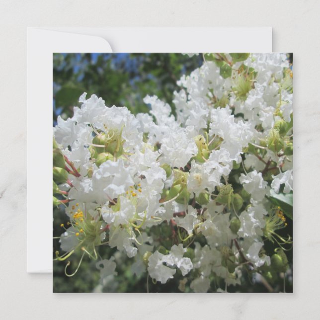 Crape Myrtle Tree Close Invitation (Front)