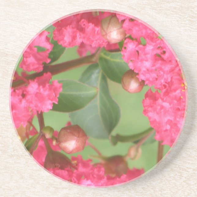 Crape Myrtles Sandstone Coasters (Front)