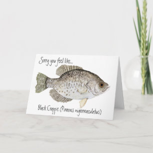 Crappie get well card