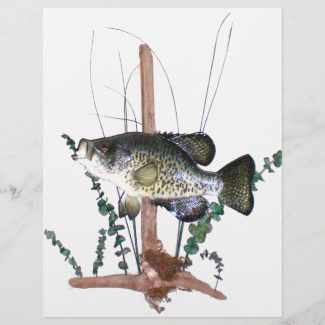 Crappie Mount (Front)