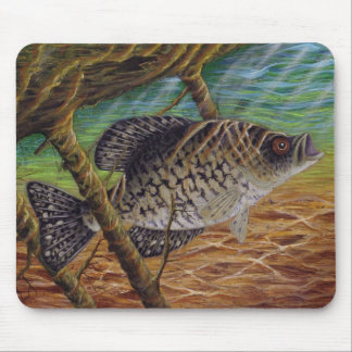 crappie mouse pad
