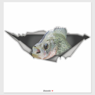 Crappy car decal, Crappy sticker,Crappy torn metal Sticker