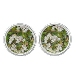 Crassula ovata Cufflinks