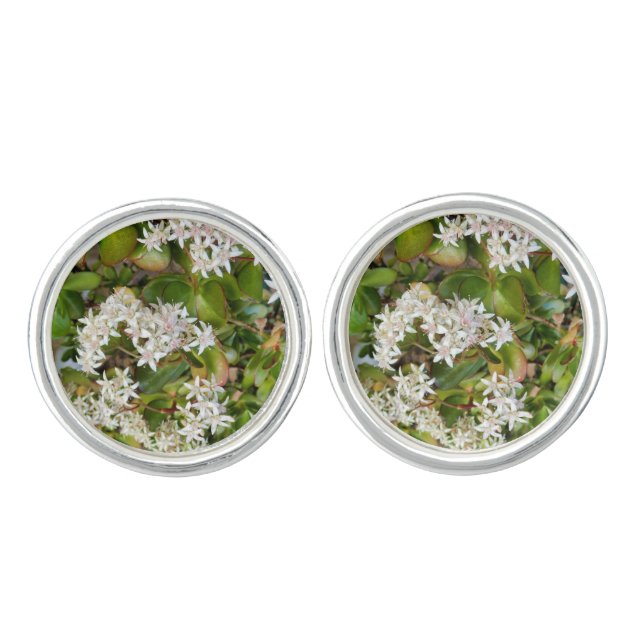 Crassula ovata Cufflinks (Front)
