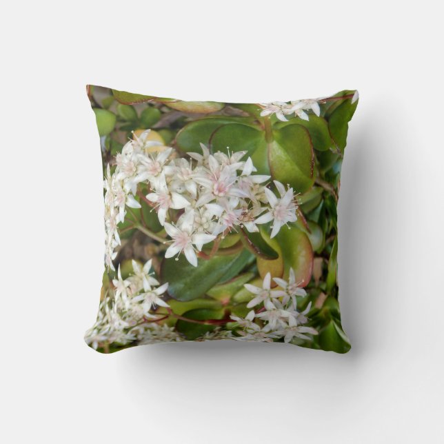 Crassula ovata Throw Cushion (Front)