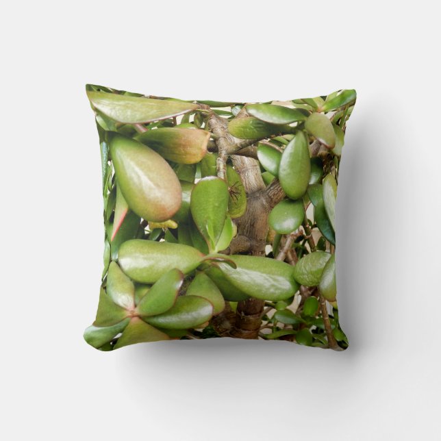 Crassula ovata Throw Cushion (Front)
