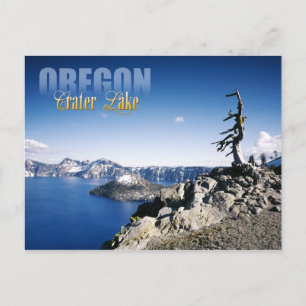 Crater Lake National Park, Oregon Postcard