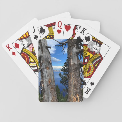 Crater Lake National Park Trees Playing Cards