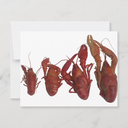 crawfish cell phone signal (Front)