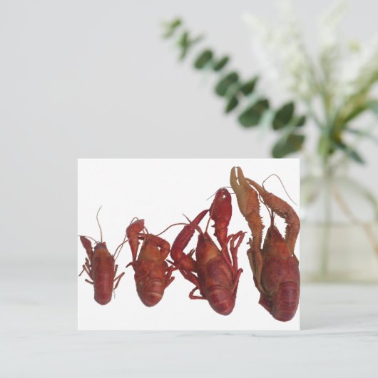 crawfish cell phone signal (Standing Front)