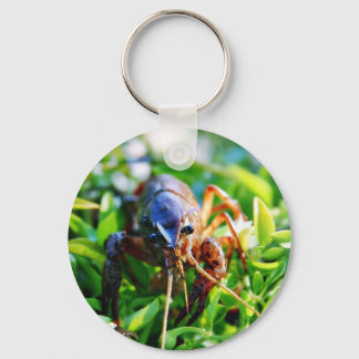 Crawfish Crawdads Crayfish Keychain