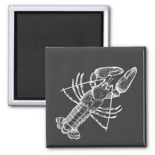 Crawfish Illustration white on black Magnet