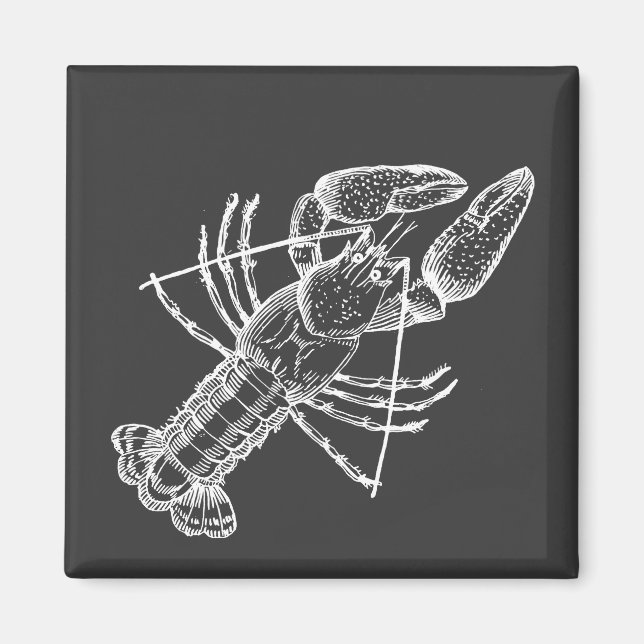 Crawfish Illustration white on black Magnet (Front)