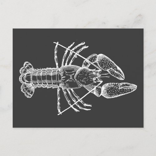 Crawfish Illustration white on black Postcard