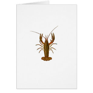 Crawfish Logo Cards