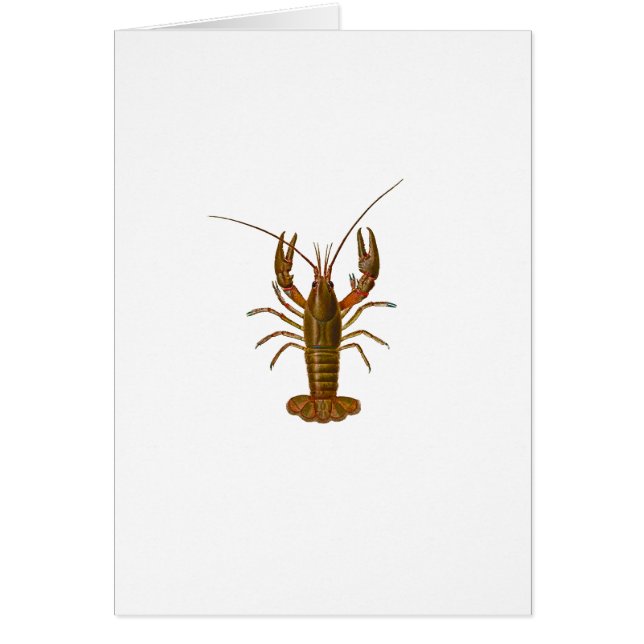 Crawfish Logo Cards (Front)