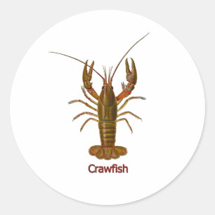 Crawfish Logo Classic Round Sticker