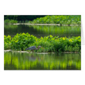 Crawfish Meal Time (Front Horizontal)