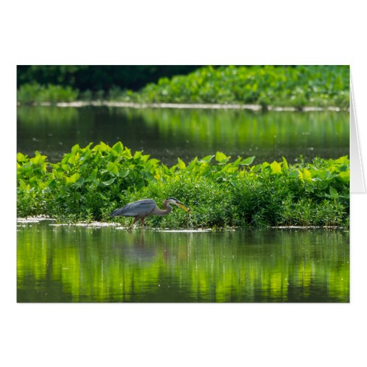 Crawfish Meal Time (Front Horizontal)