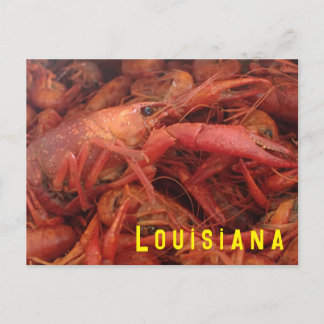 Crawfish Postcard