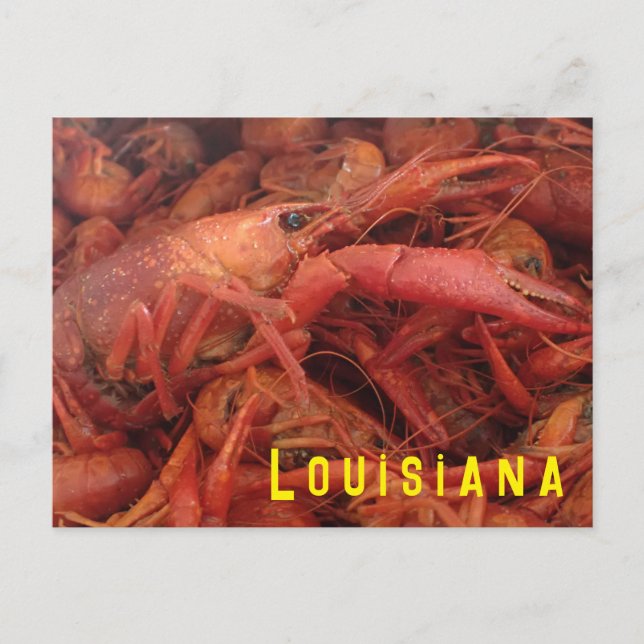Crawfish Postcard (Front)
