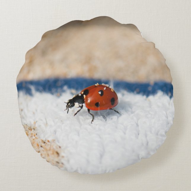 Crawling ladybug round pillow (Back)