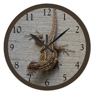 Crawling Lizard Large Clock