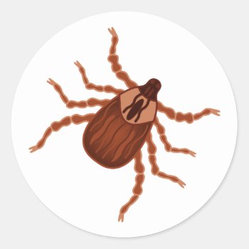 Crawly Realistic Tick Illustration Classic Round Sticker by warrior_woman at Zazzle