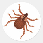Crawly Realistic Tick Illustration Classic Round Sticker