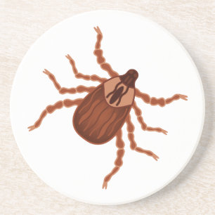 Crawly Realistic Tick Illustration Drink Coaster