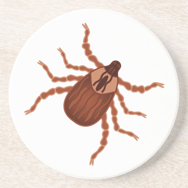 Crawly Realistic Tick Illustration Drink Coaster (Front)